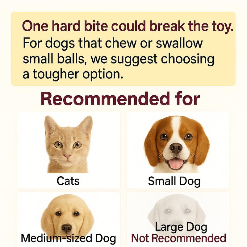 Mizusu Interactive Cat & Dog Teaser Toy with Two Additional Tails, Kitten Rolling Ball Toy, Pet Supplies, Dog & Cat Accessories Cute Dog Toys