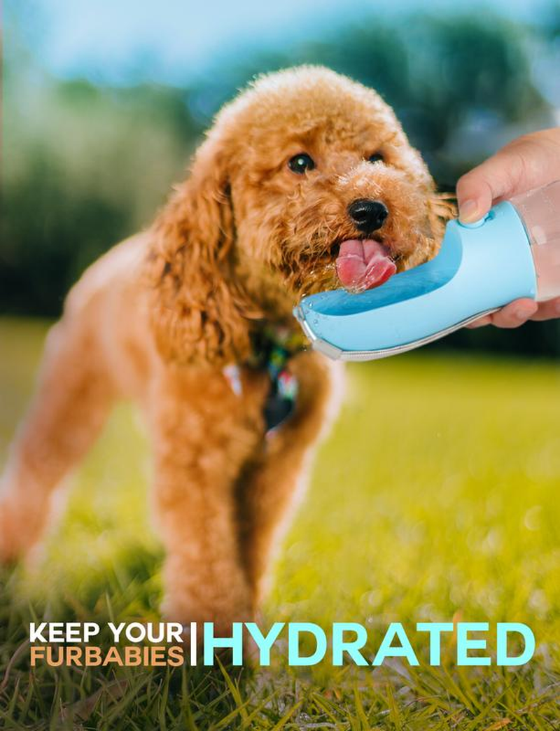 3In1 Pet Water Bottle - Portable 20Oz Leak Proof Container with Poop Bag Dispenser