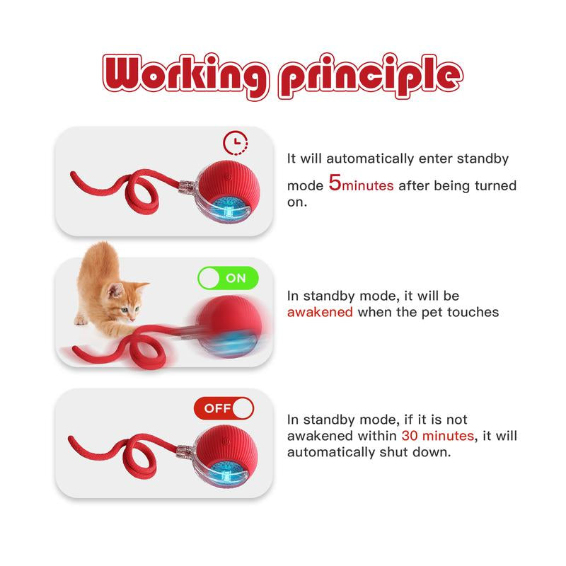 Mizusu Interactive Cat & Dog Teaser Toy with Two Additional Tails, Kitten Rolling Ball Toy, Pet Supplies, Dog & Cat Accessories Cute Dog Toys