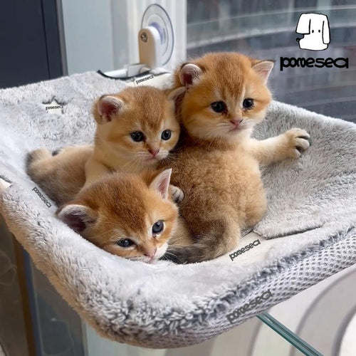 【Cat Window Perch】For Large Cats,Glow in the Dark,Hammock with Hook Design Double-Sided Fabric Cover, Foldable Window Seat,Sunbathing